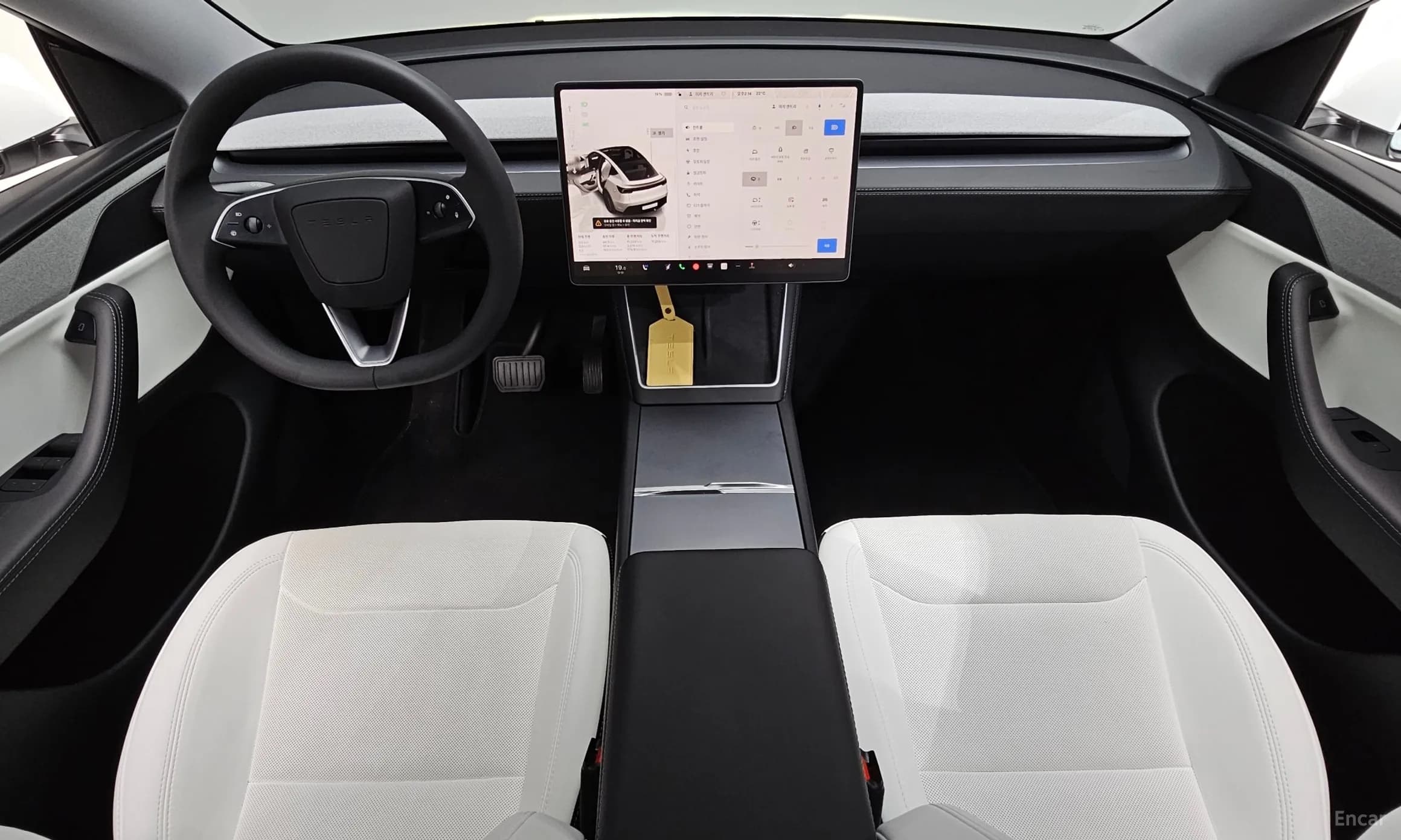 Model Y