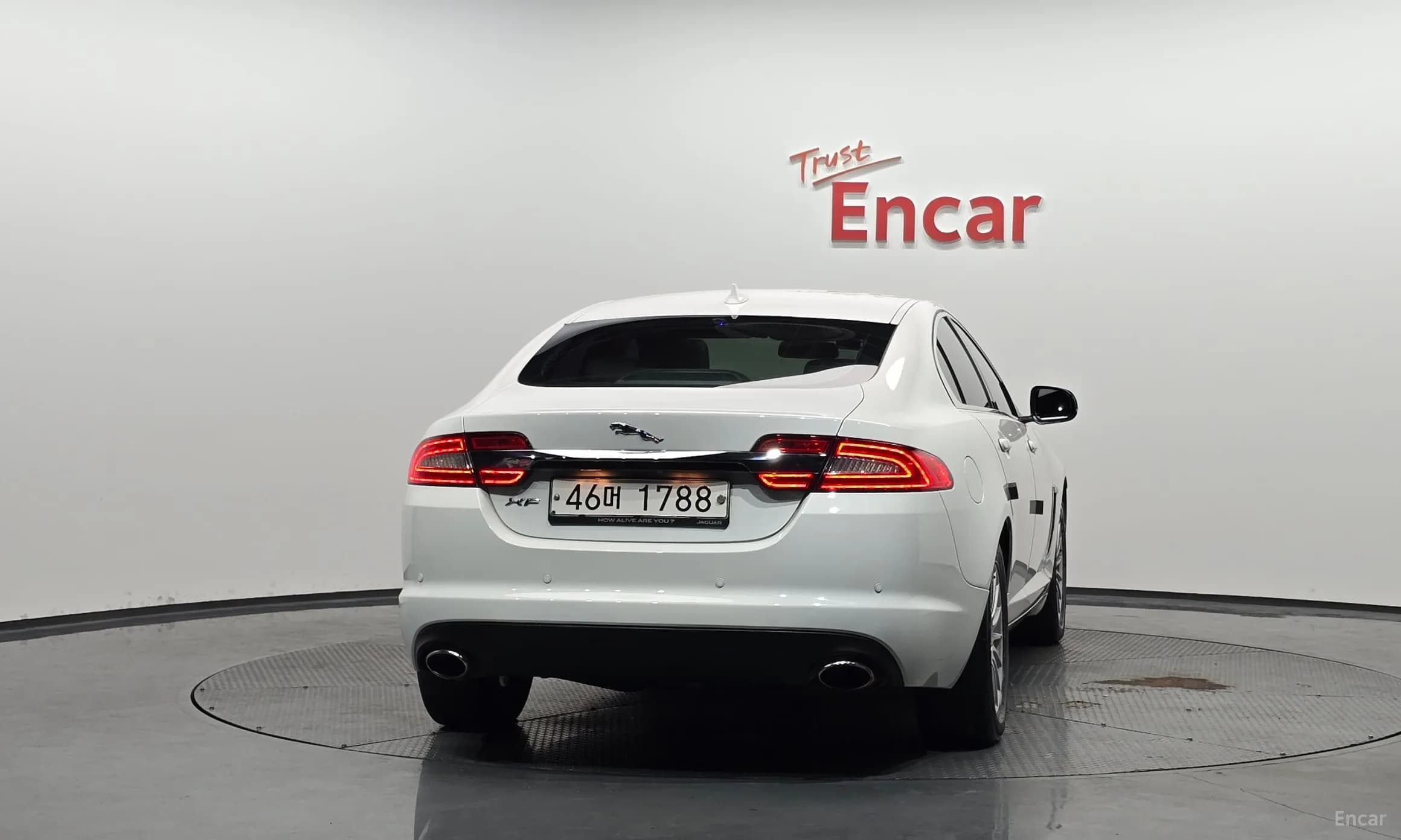New XF