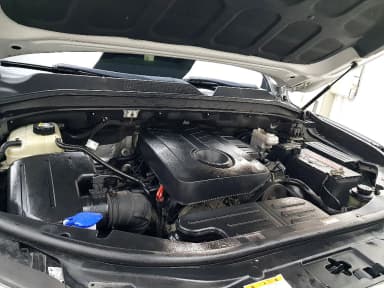 Rexton Sports