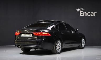 XF (x260)