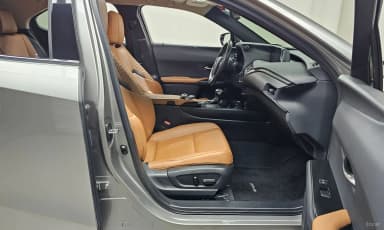 UX250h