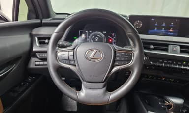 UX250h