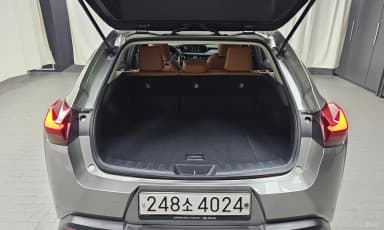 UX250h