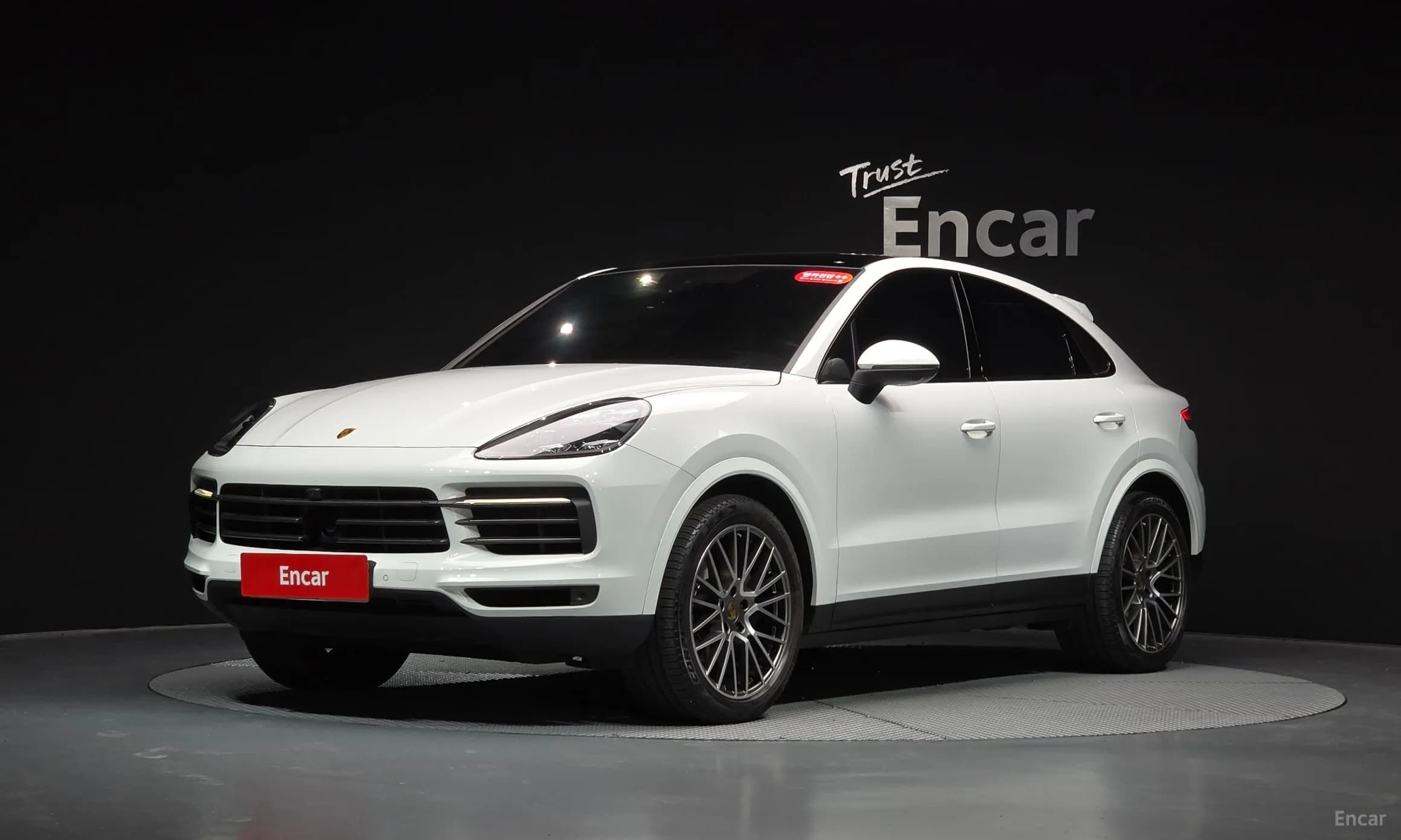 Cayenne (PO536)