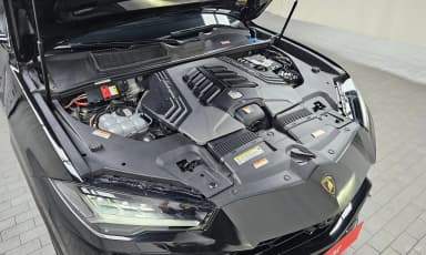 Urus