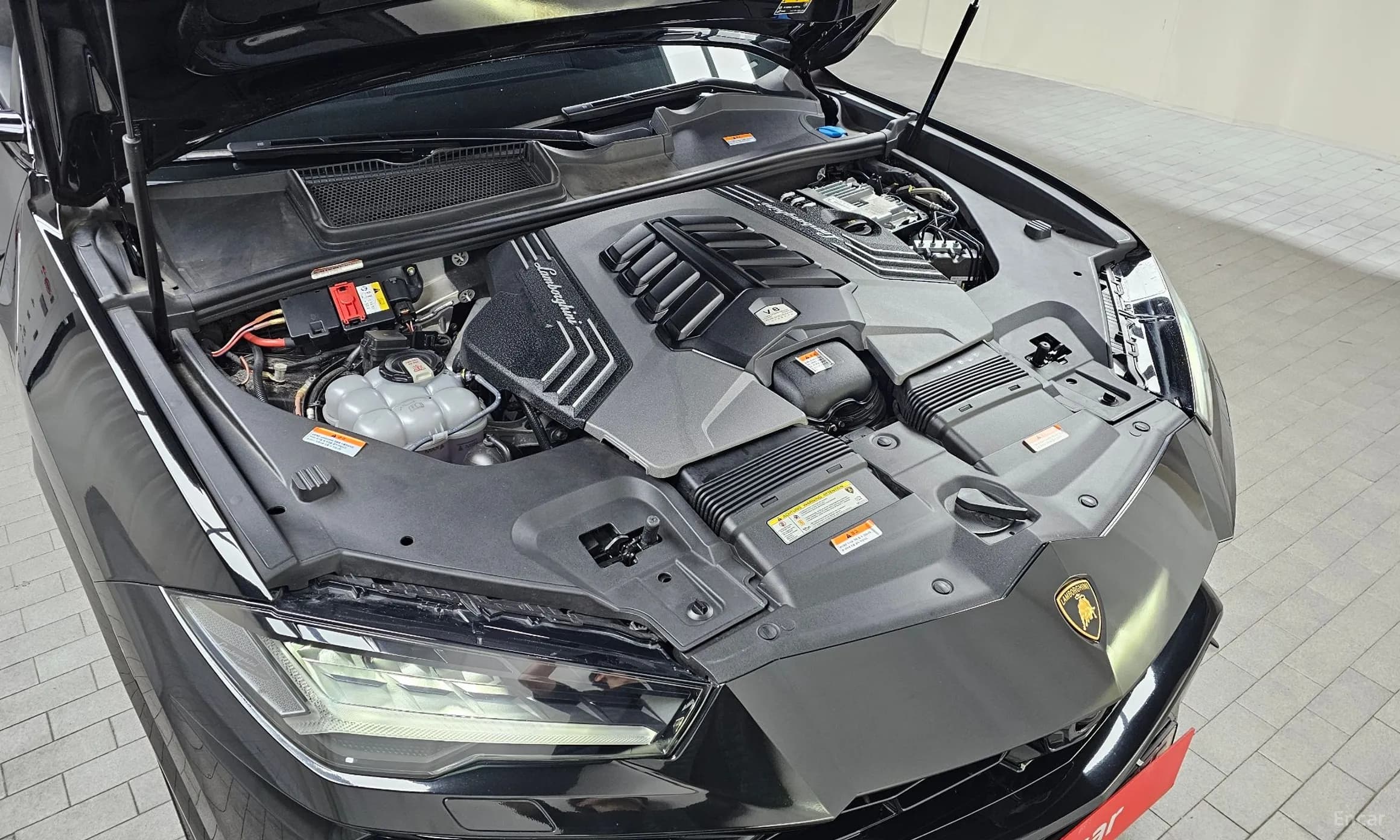 Urus
