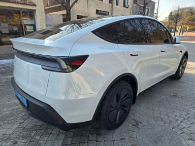 Model Y