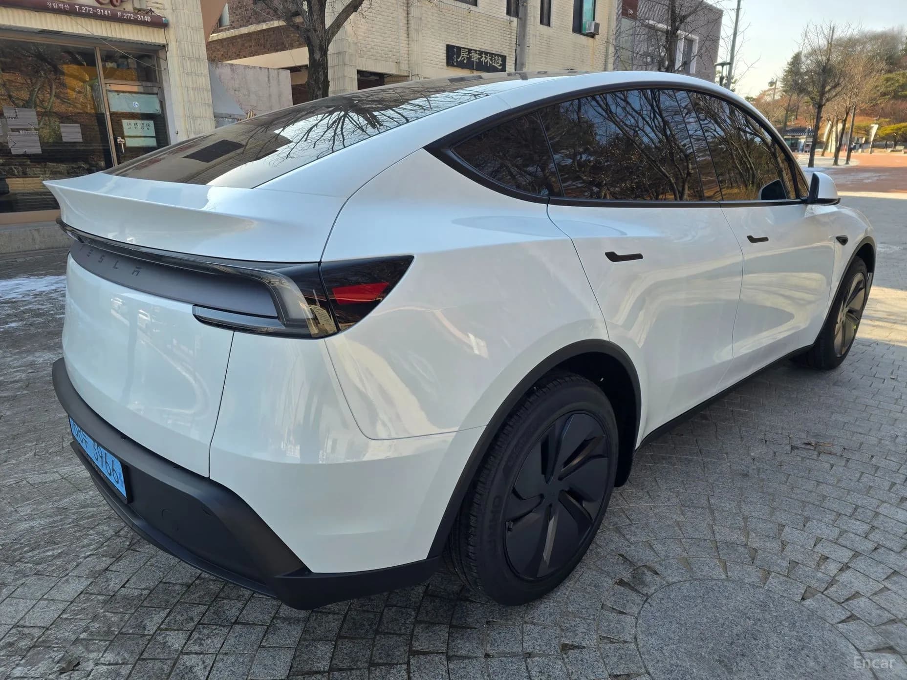 Model Y