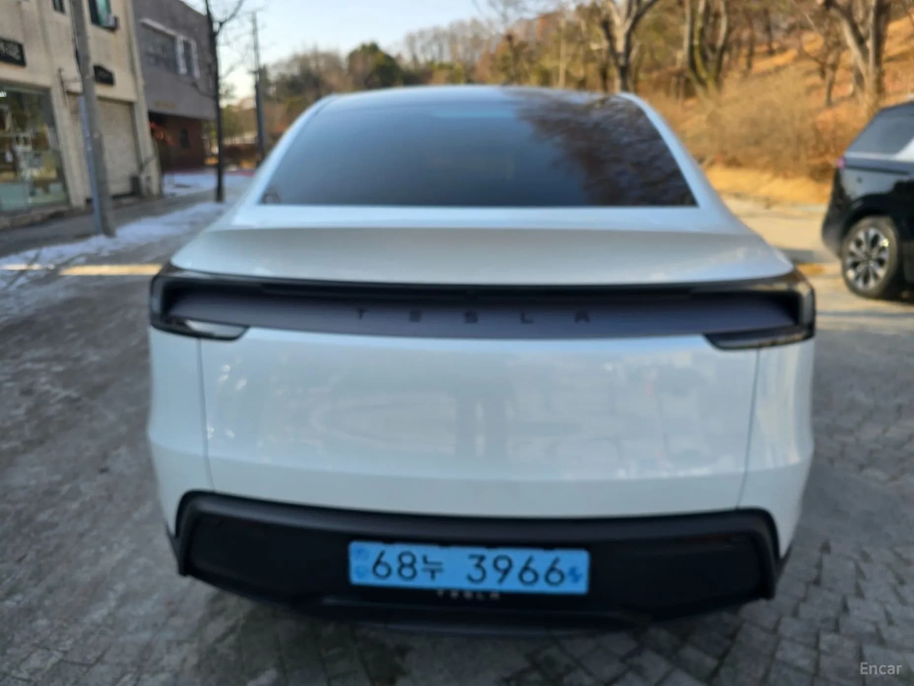 Model Y