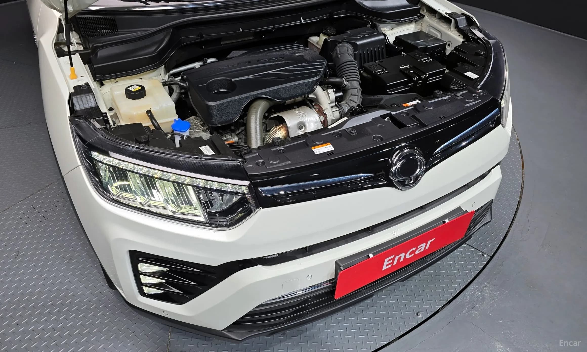 Berry New Tivoli