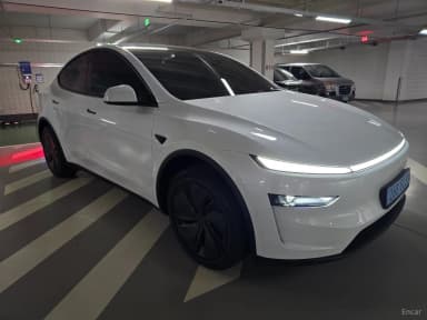 Model Y