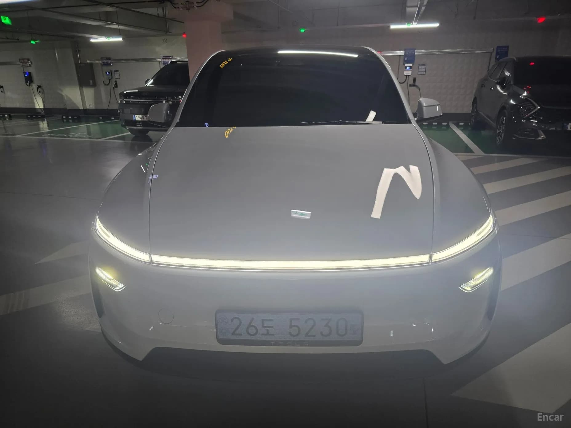 Model Y