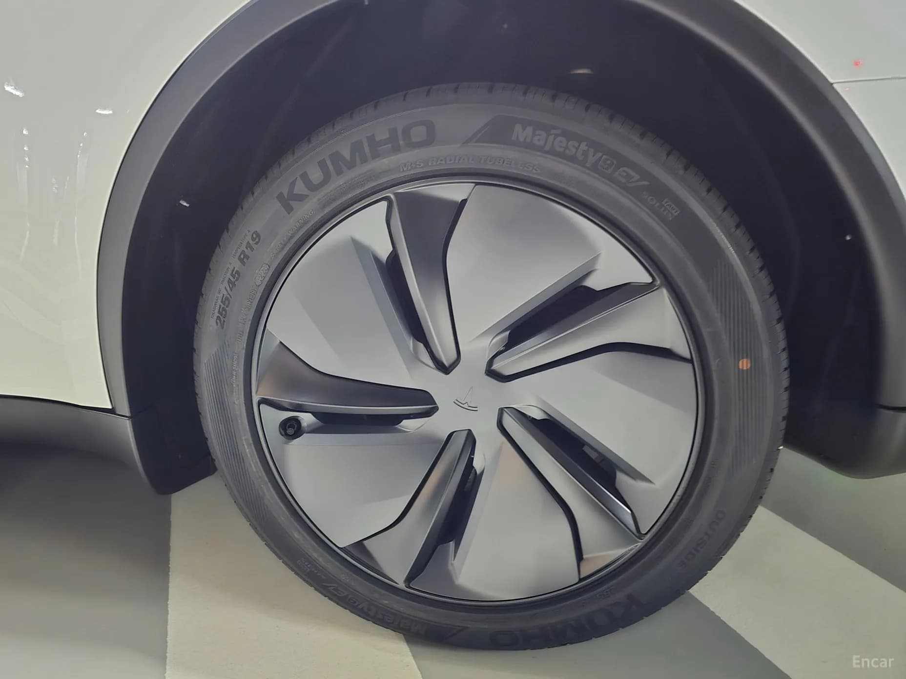 Model Y