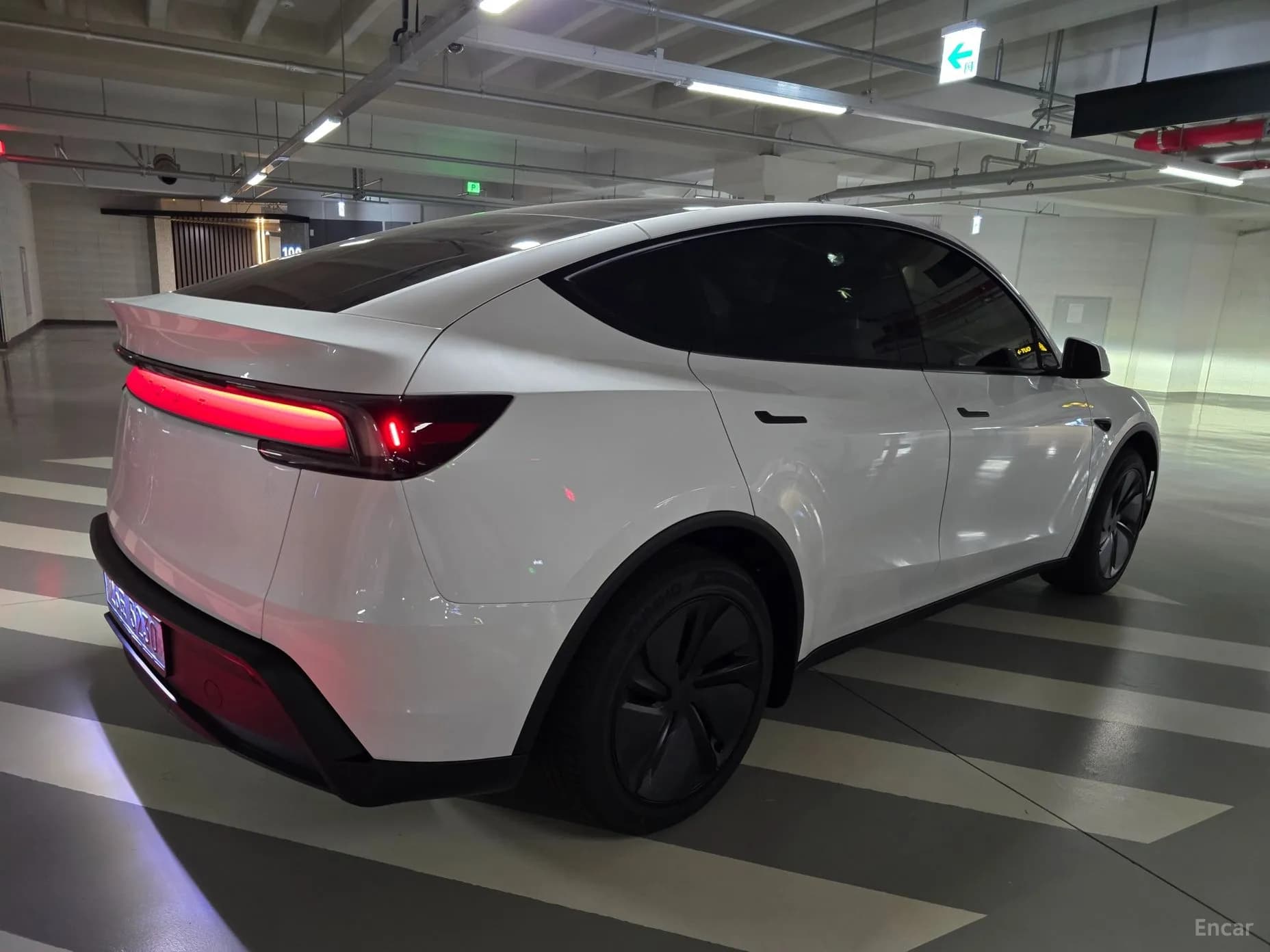 Model Y