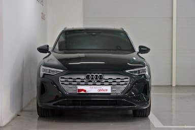 Q8 e-tron (GE)