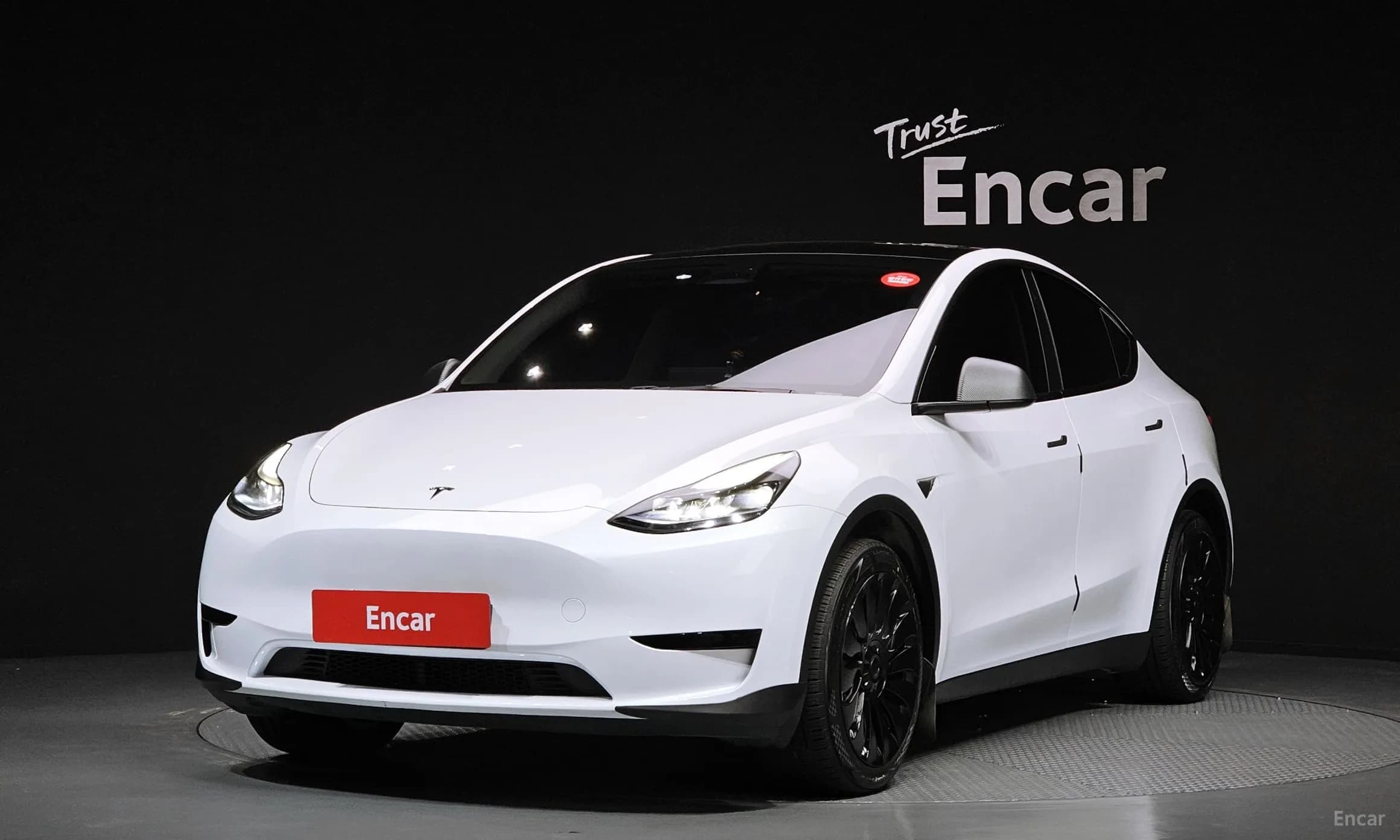 Model Y