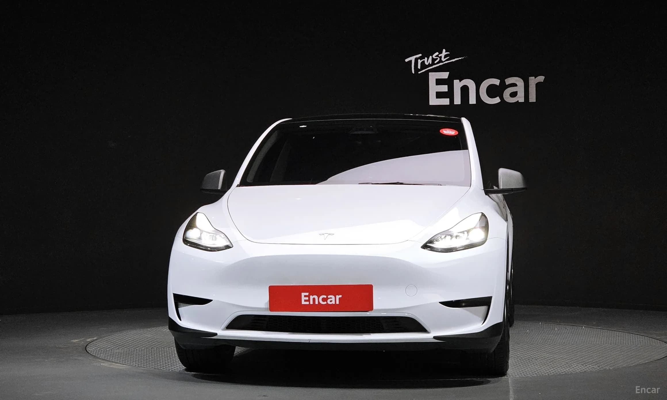 Model Y