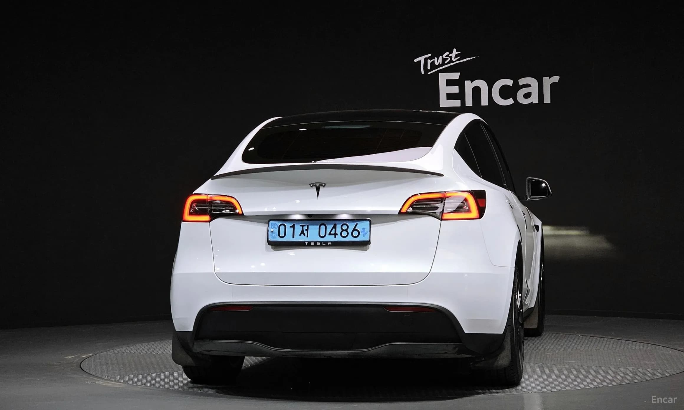 Model Y