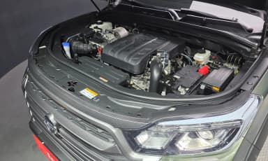 Rexton Sports