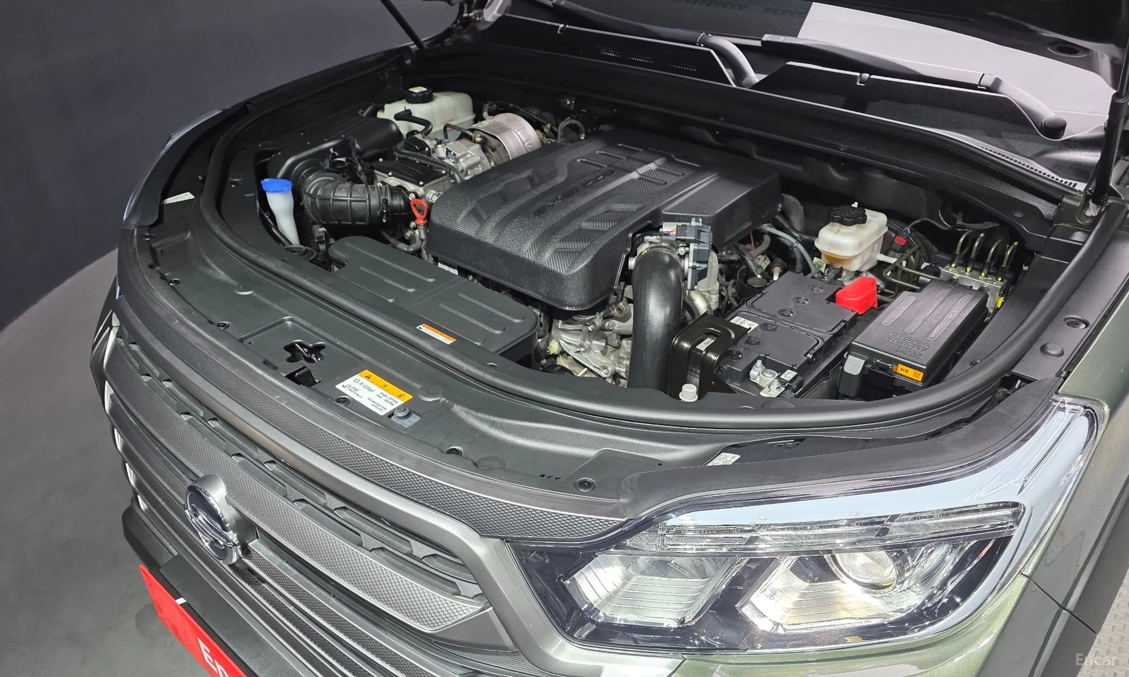 Rexton Sports
