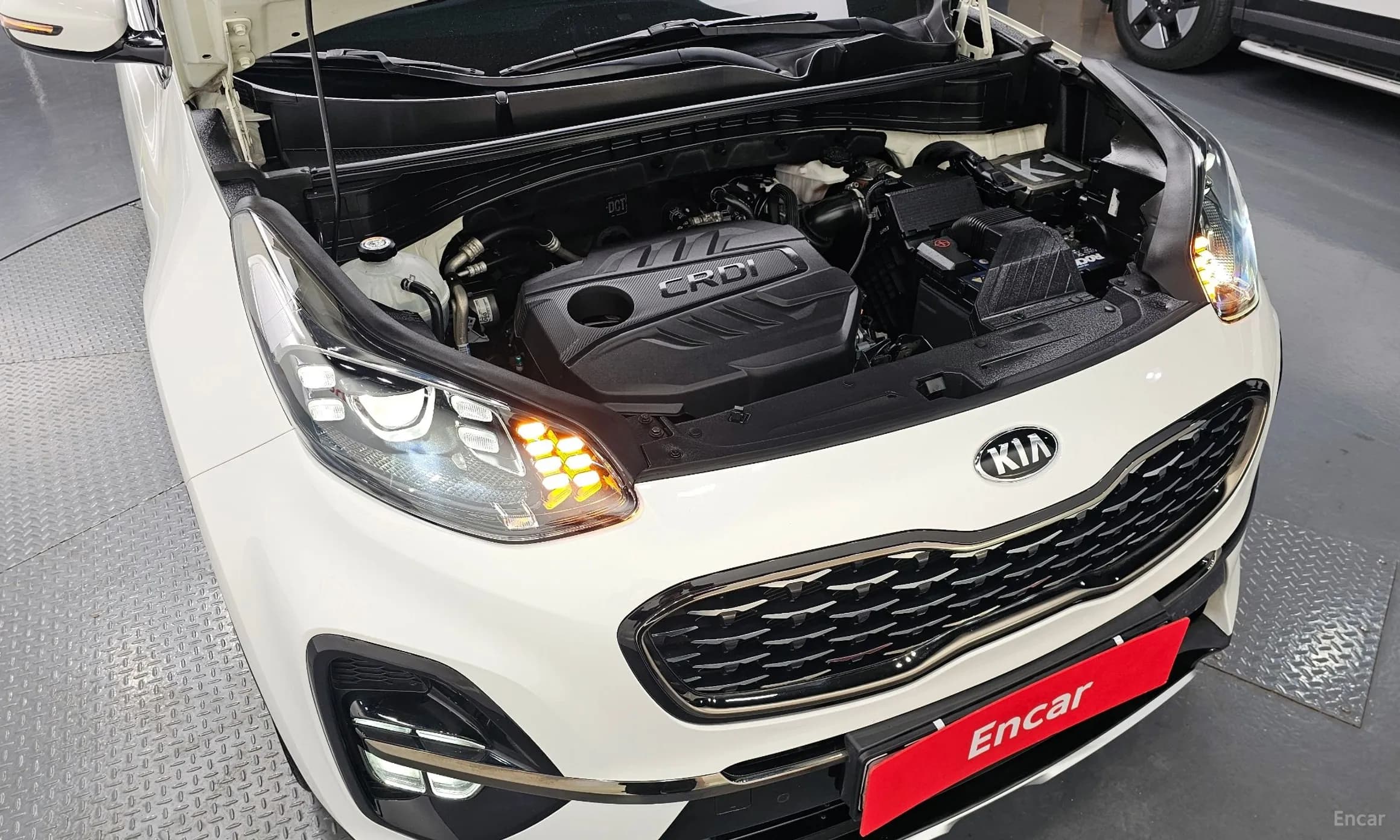 Sportage The Bold