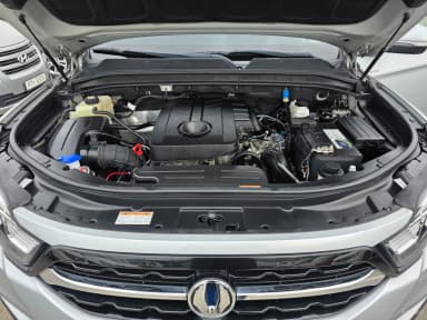 Rexton Sports