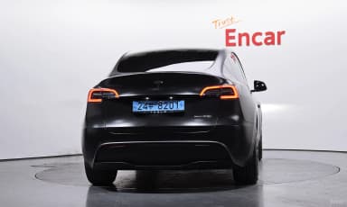 Model Y