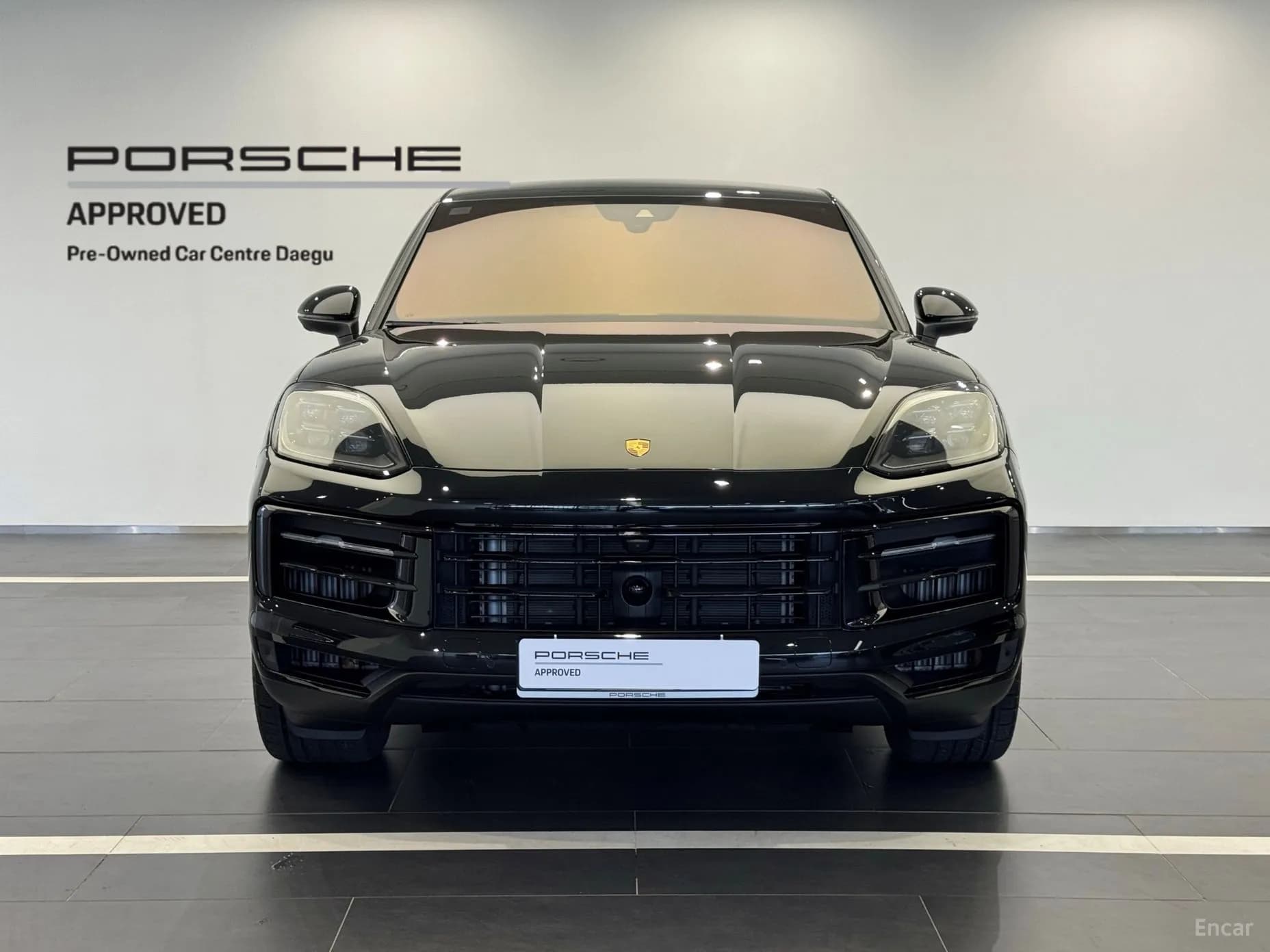 Cayenne (PO536)
