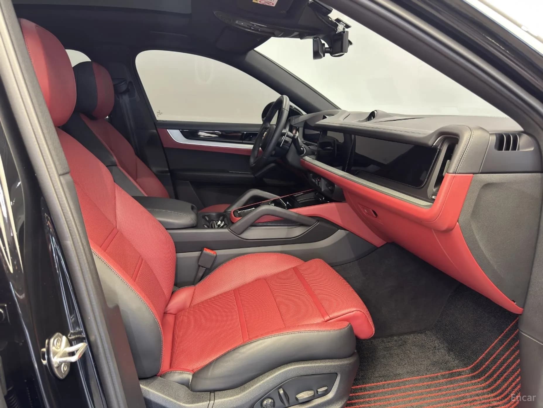 Cayenne (PO536)