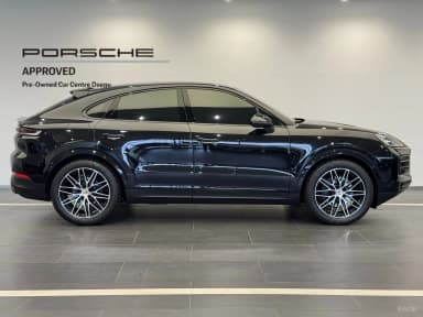Cayenne (PO536)