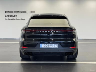 Cayenne (PO536)