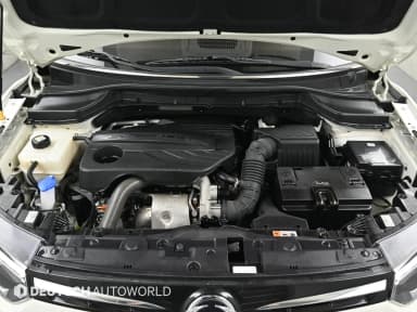 Berry New Tivoli