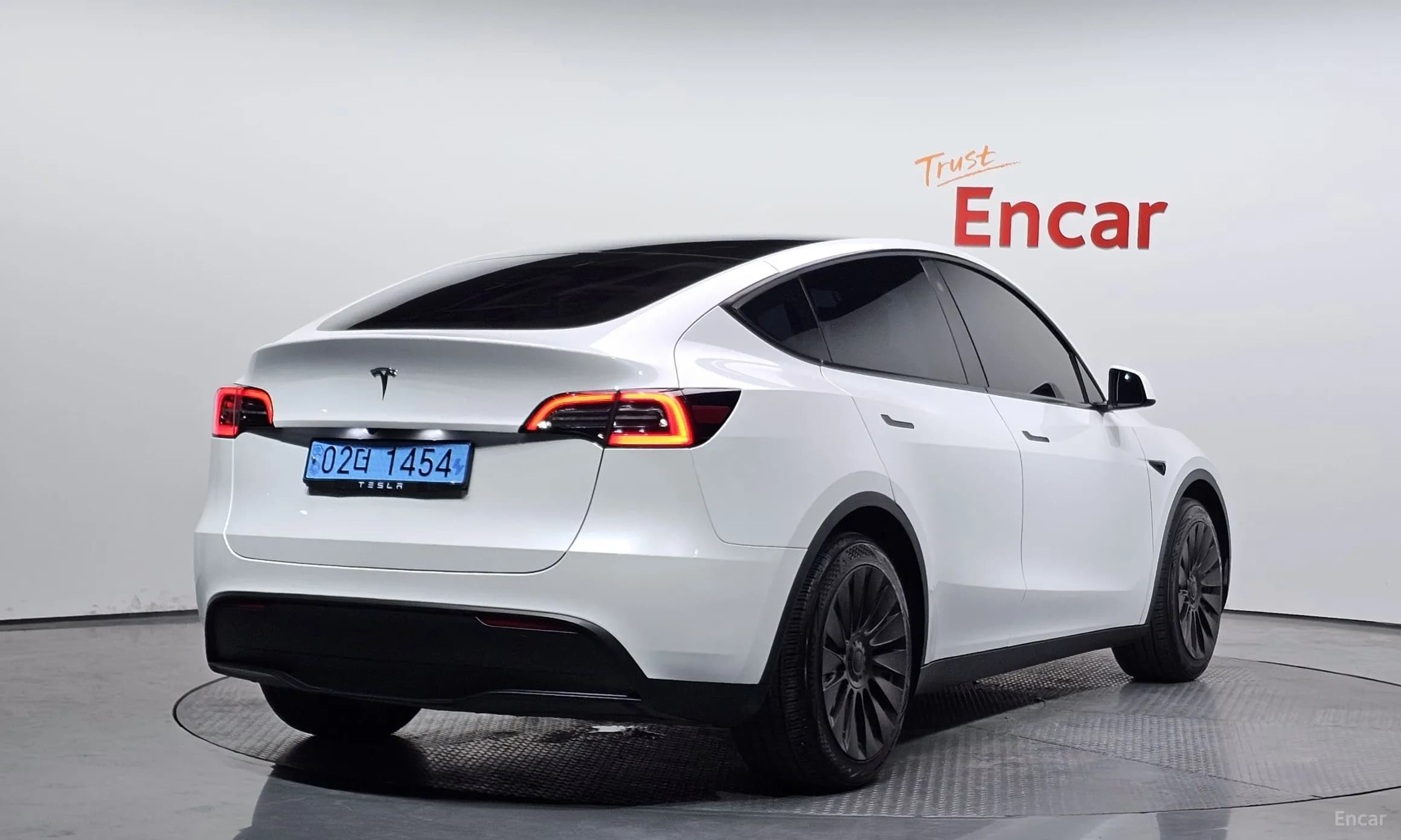 Model Y