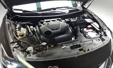 Maxima (A36)