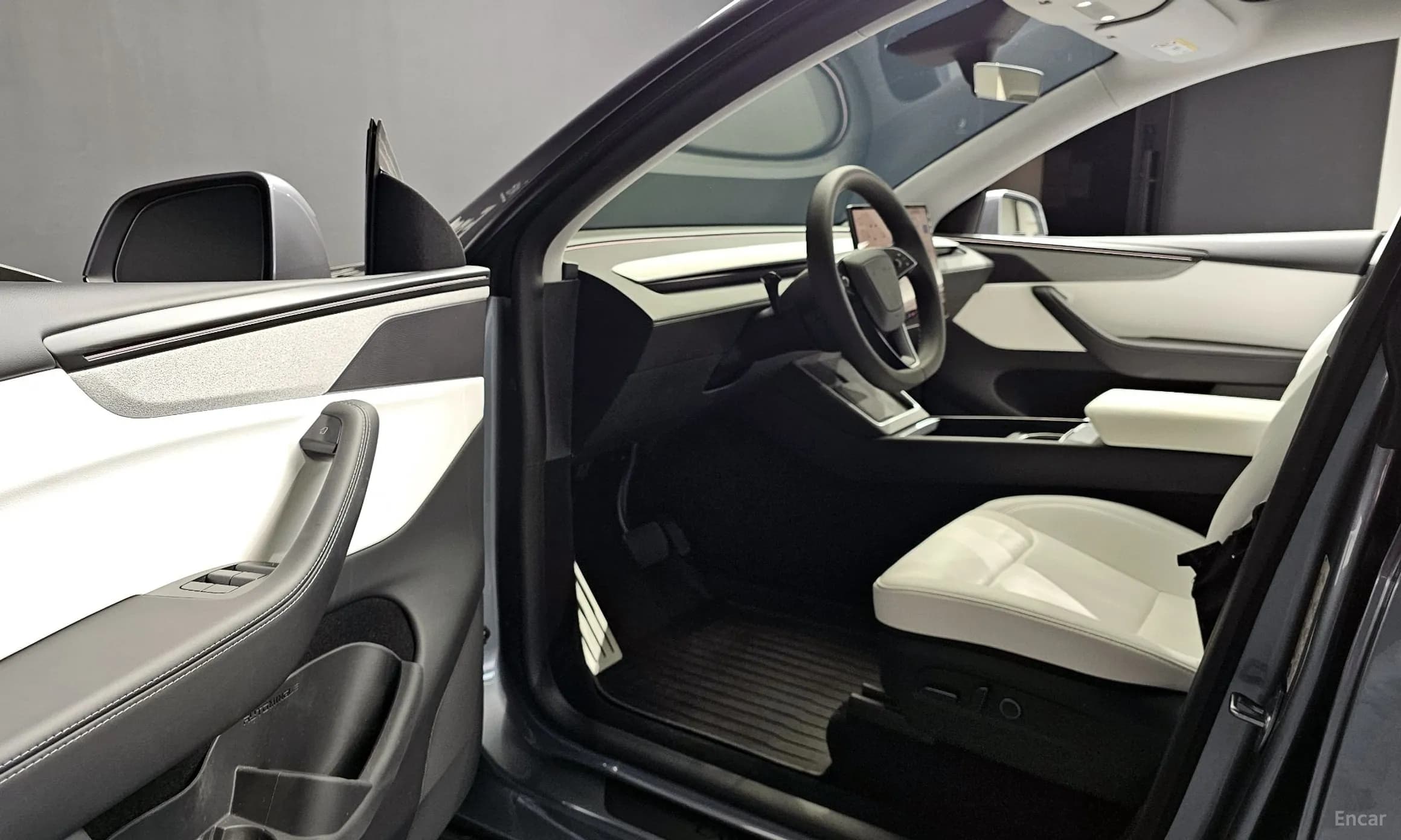 Model Y