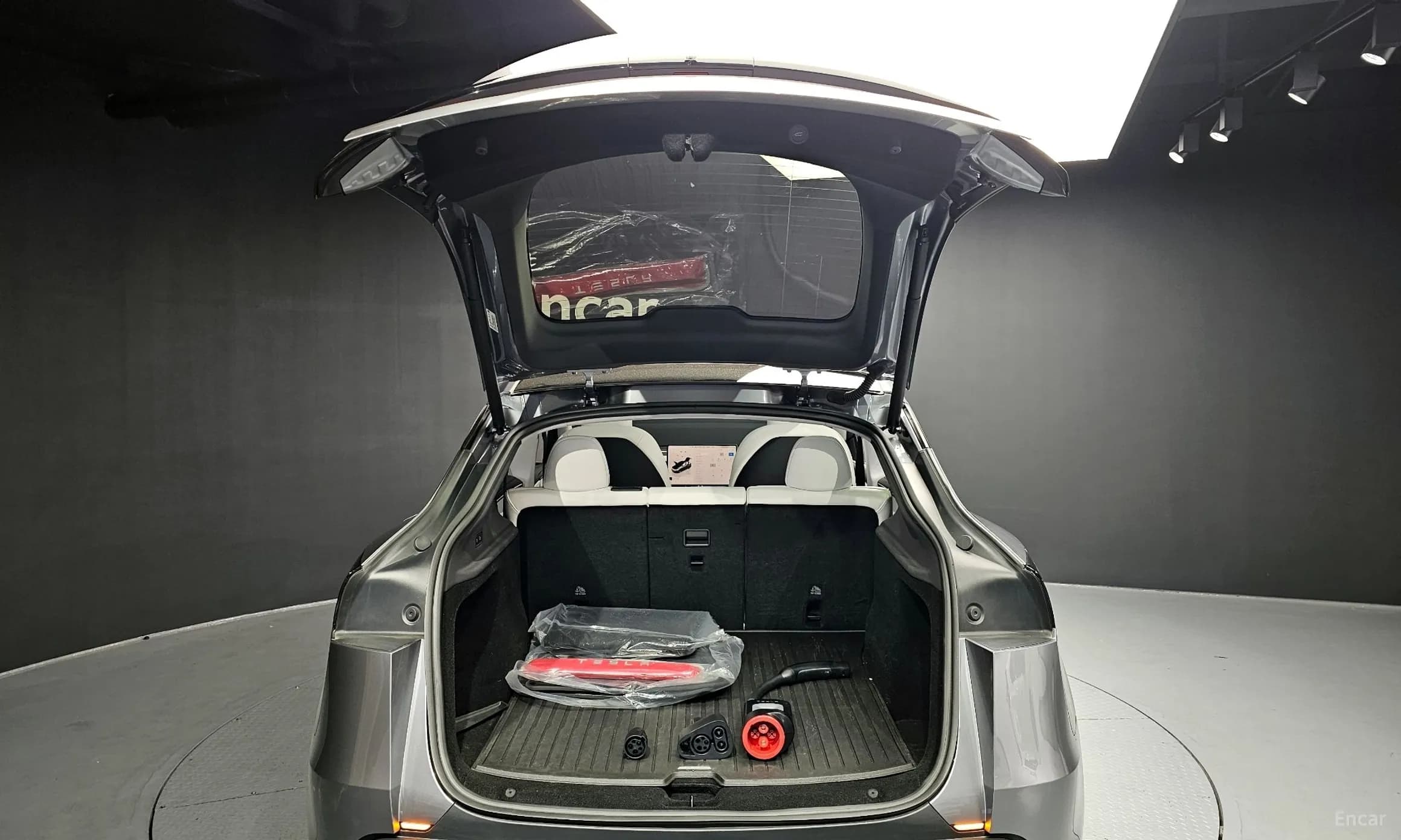 Model Y