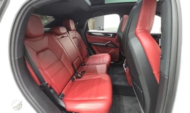 Cayenne (PO536)