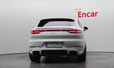 Cayenne (PO536)