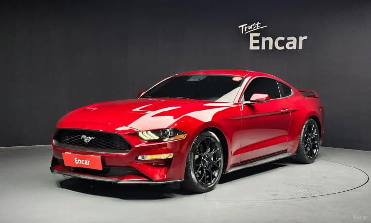 Mustang