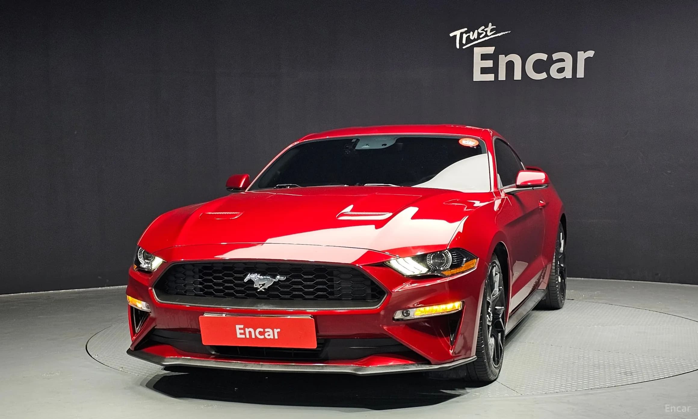 Mustang