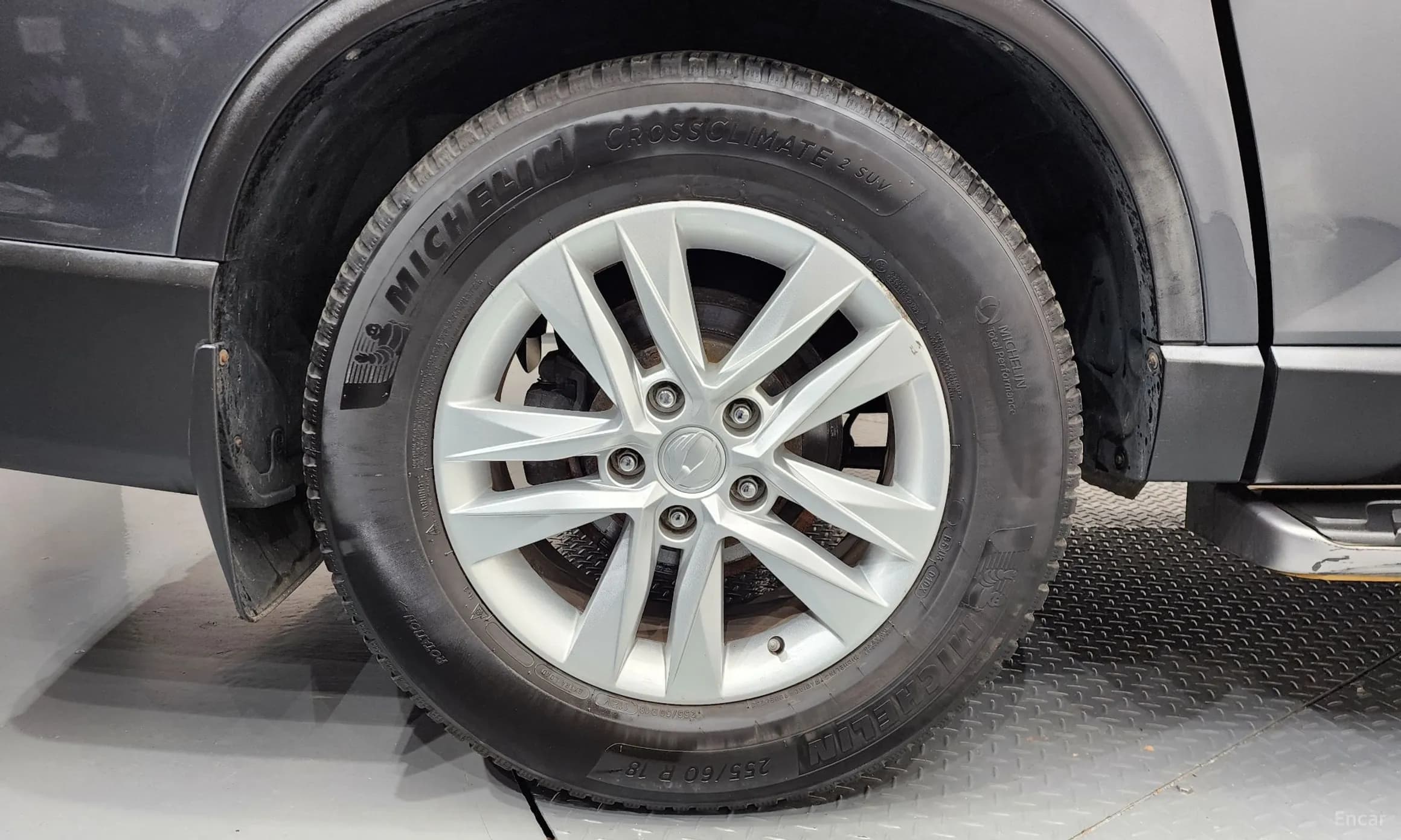 Rexton Sports