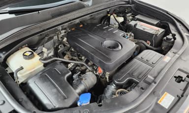Rexton Sports