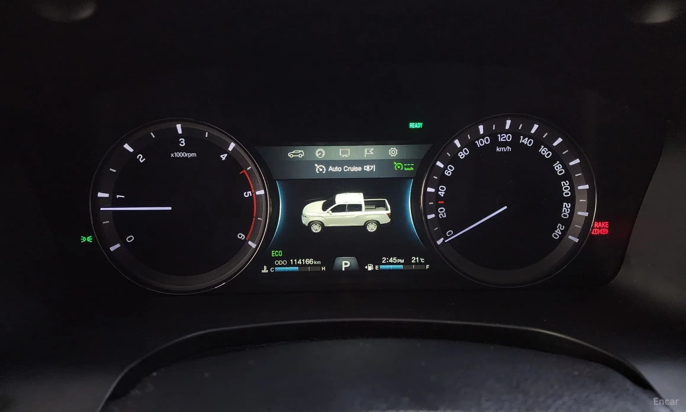 Rexton Sports