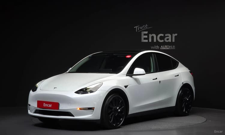 Model Y