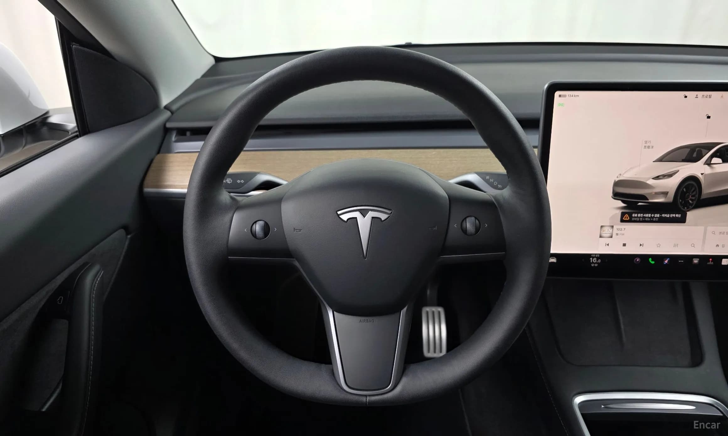 Model Y