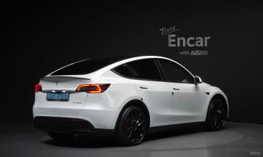 Model Y
