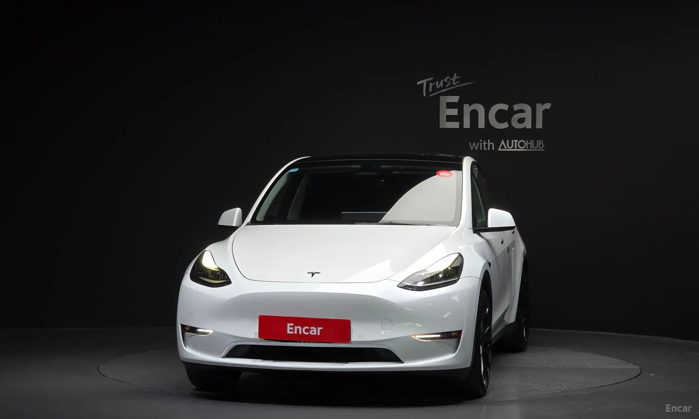 Model Y