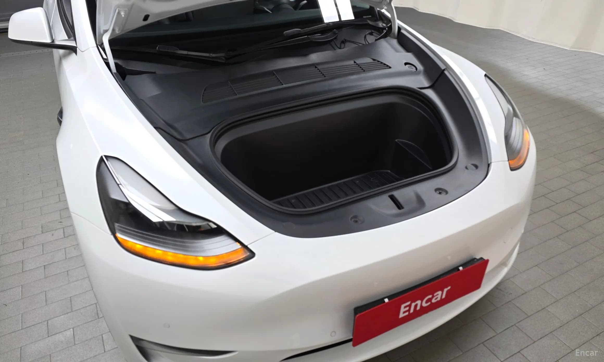 Model Y
