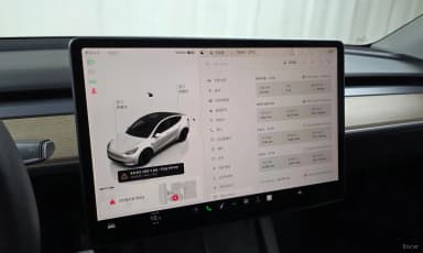 Model Y
