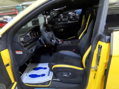 Urus